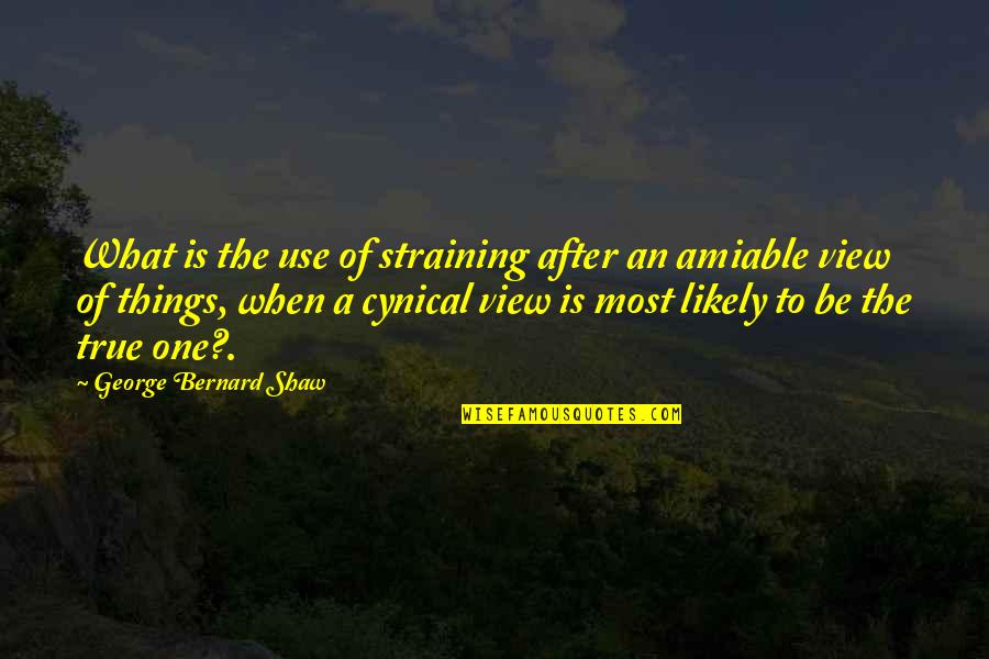 Tremity Quotes By George Bernard Shaw: What is the use of straining after an