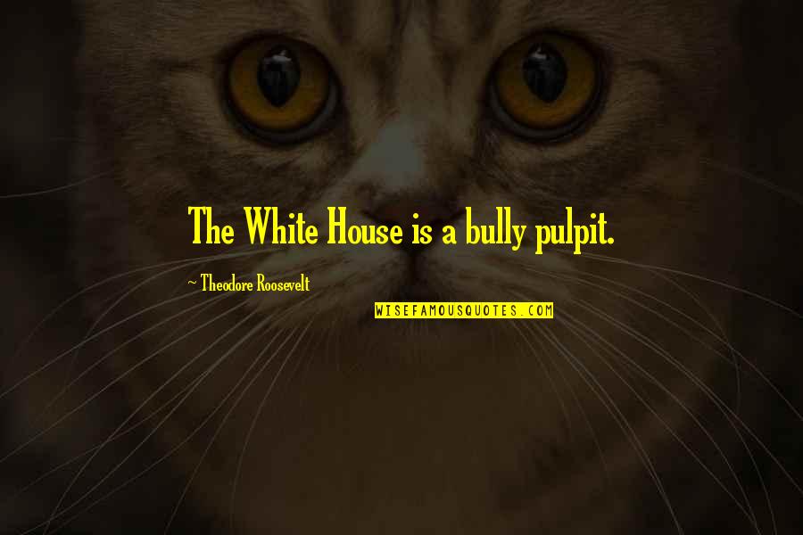 Trevisanellophotogtaphy Quotes By Theodore Roosevelt: The White House is a bully pulpit.