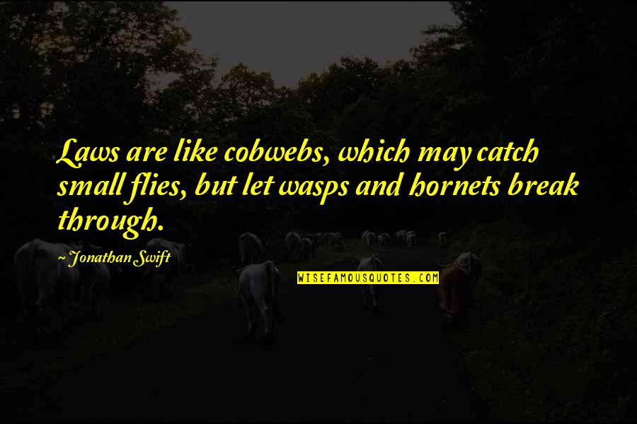 Triage Chapter Quotes By Jonathan Swift: Laws are like cobwebs, which may catch small