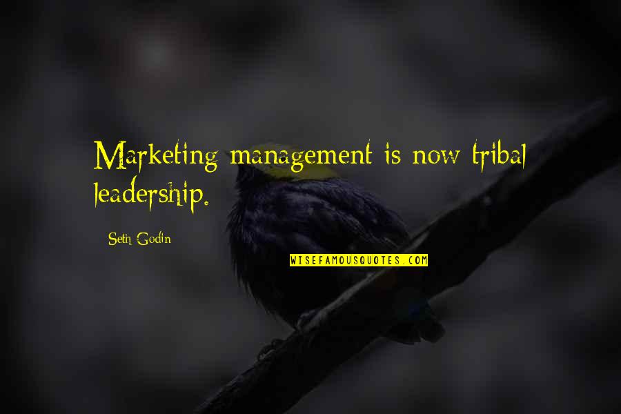 Tribal Leadership Quotes By Seth Godin: Marketing management is now tribal leadership.