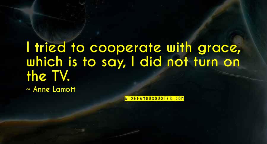 Tried You Say Quotes By Anne Lamott: I tried to cooperate with grace, which is