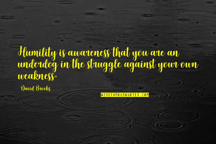 Tritone Scale Quotes By David Brooks: Humility is awareness that you are an underdog