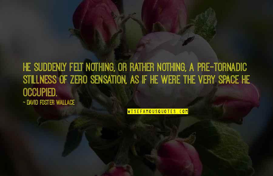 Troostwijk Nederland Quotes By David Foster Wallace: He suddenly felt nothing, or rather Nothing, a