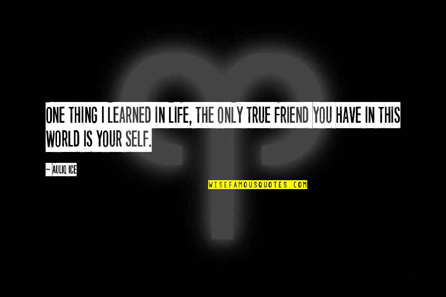 True To One's Self Quotes By Auliq Ice: One thing I learned in life, the only