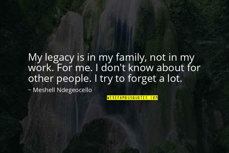 Try To Know Me Quotes By Meshell Ndegeocello: My legacy is in my family, not in