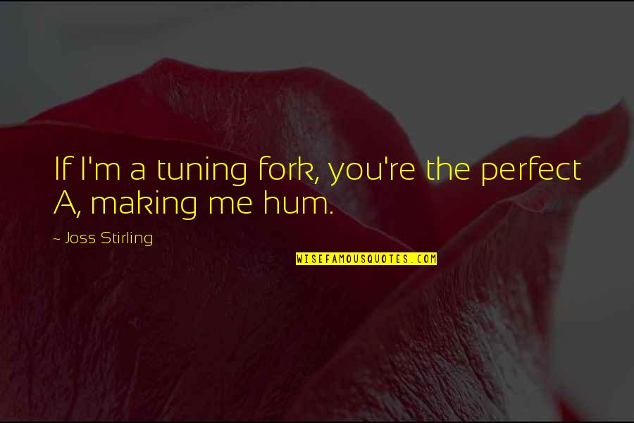 Tuning In Quotes By Joss Stirling: If I'm a tuning fork, you're the perfect