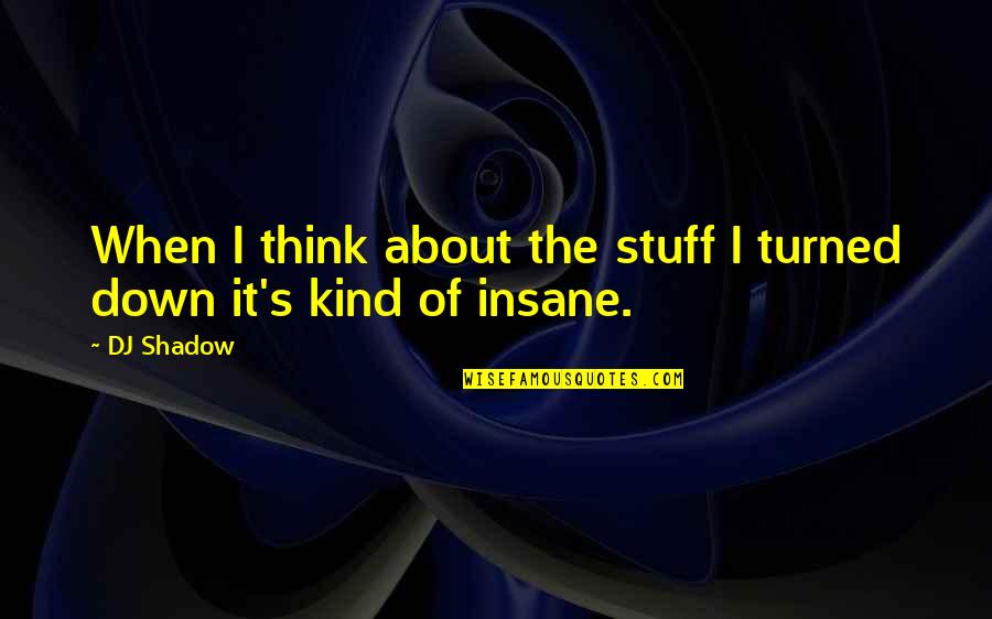 Turned Down Quotes By DJ Shadow: When I think about the stuff I turned