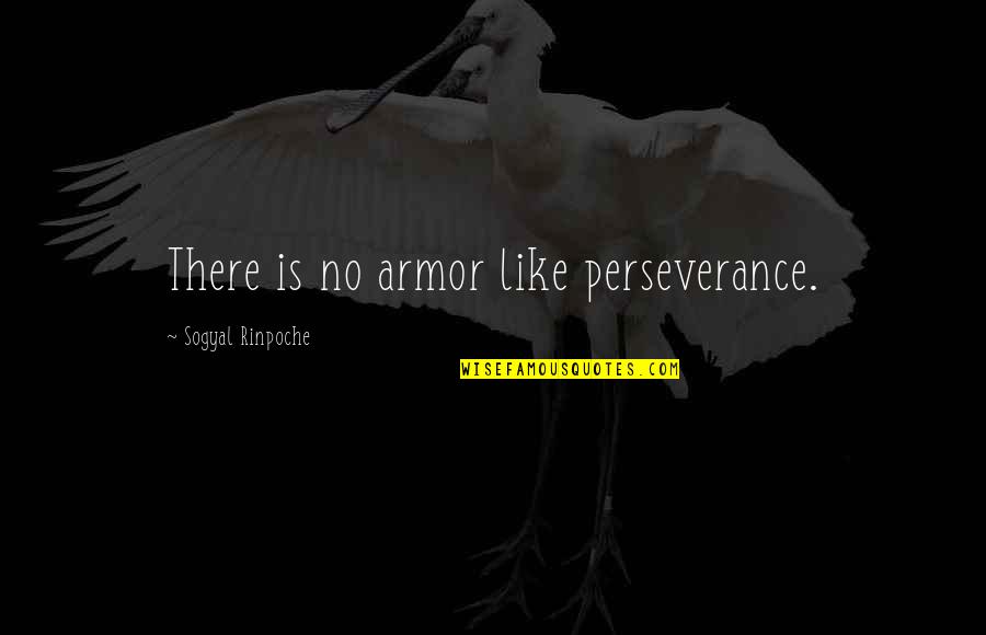 Twainstein Quotes By Sogyal Rinpoche: There is no armor like perseverance.