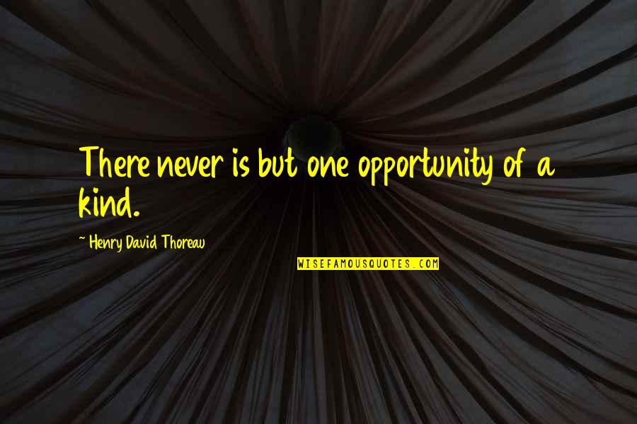 Two Crazy Best Friends Quotes By Henry David Thoreau: There never is but one opportunity of a