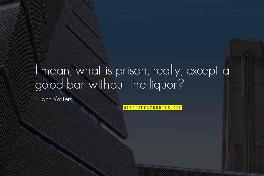 Two Heads Are Better Than One Full Quote Quotes By John Waters: I mean, what is prison, really, except a