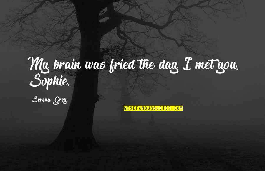 Two Years In Minutes Quotes By Serena Grey: My brain was fried the day I met