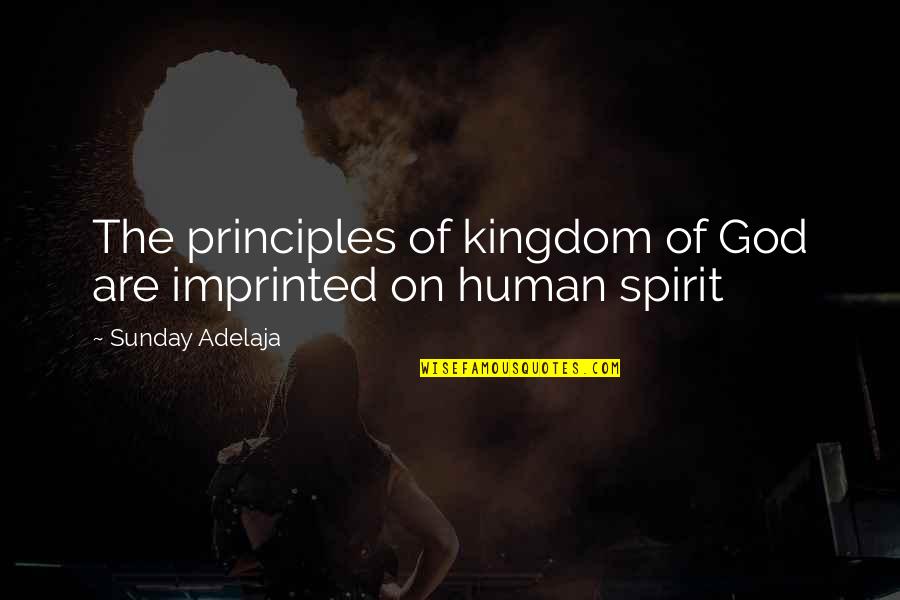 Typhon Nurse Quotes By Sunday Adelaja: The principles of kingdom of God are imprinted