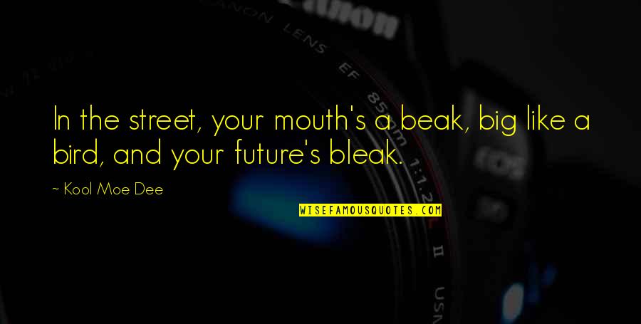 Ueshiba Books Quotes By Kool Moe Dee: In the street, your mouth's a beak, big