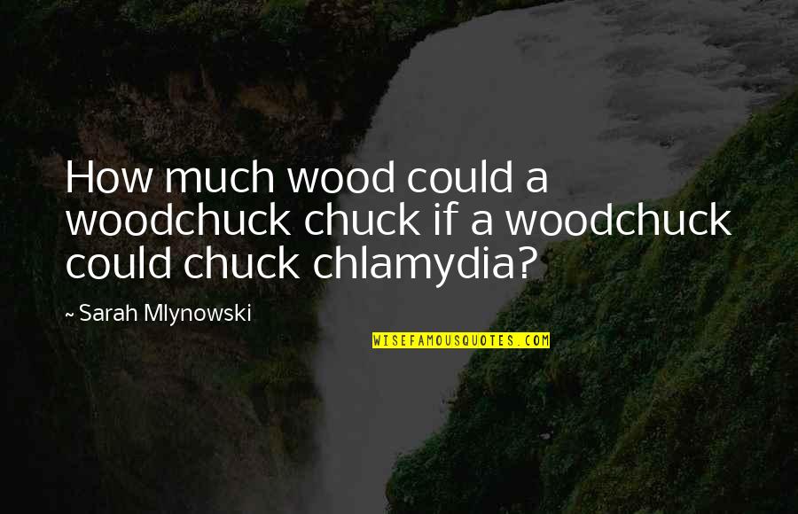 Ulotka Quotes By Sarah Mlynowski: How much wood could a woodchuck chuck if