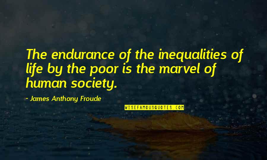 Uncomfortably Antonyms Quotes By James Anthony Froude: The endurance of the inequalities of life by