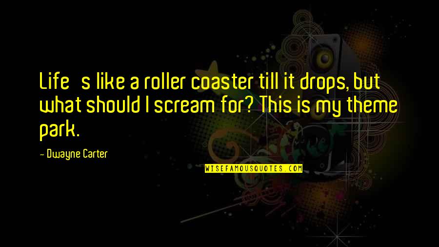 Unconditional Love For Parents Quotes By Dwayne Carter: Life's like a roller coaster till it drops,