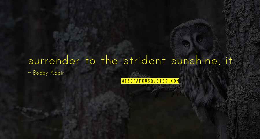 Under Suspicion Quotes By Bobby Adair: surrender to the strident sunshine, it