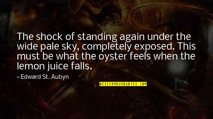 Under The Sky Quotes By Edward St. Aubyn: The shock of standing again under the wide