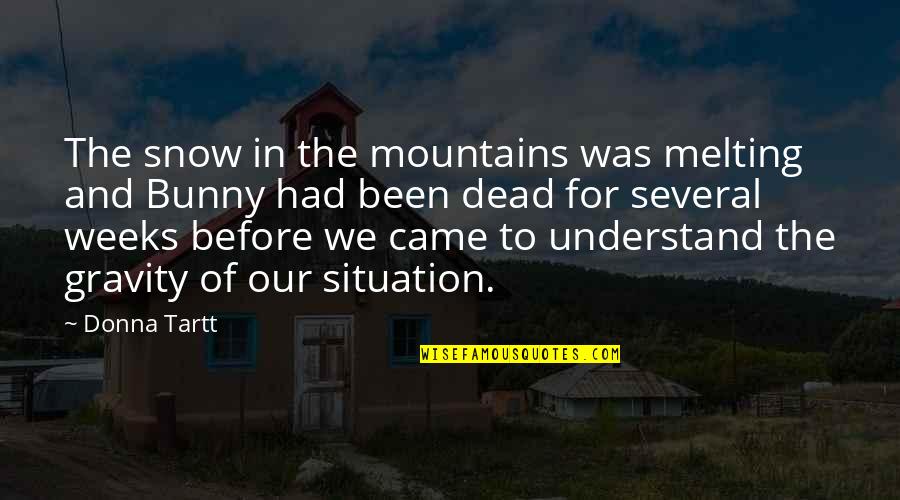 Understand My Situation Quotes By Donna Tartt: The snow in the mountains was melting and