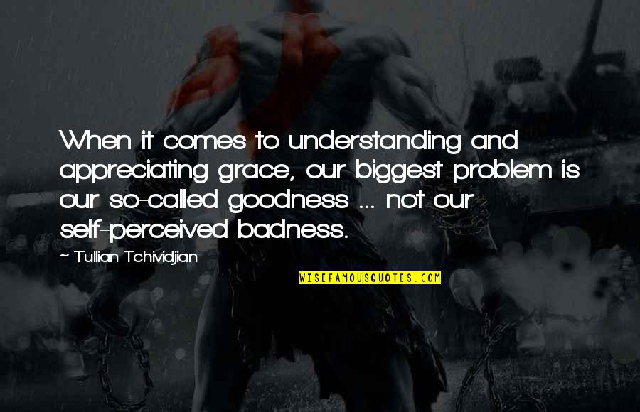 Understanding The Problem Quotes By Tullian Tchividjian: When it comes to understanding and appreciating grace,