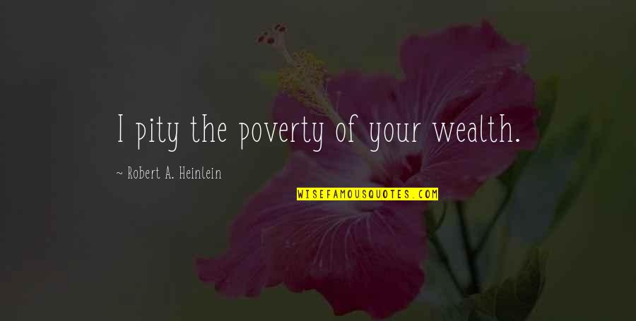 Undular Hydraulic Jump Quotes By Robert A. Heinlein: I pity the poverty of your wealth.