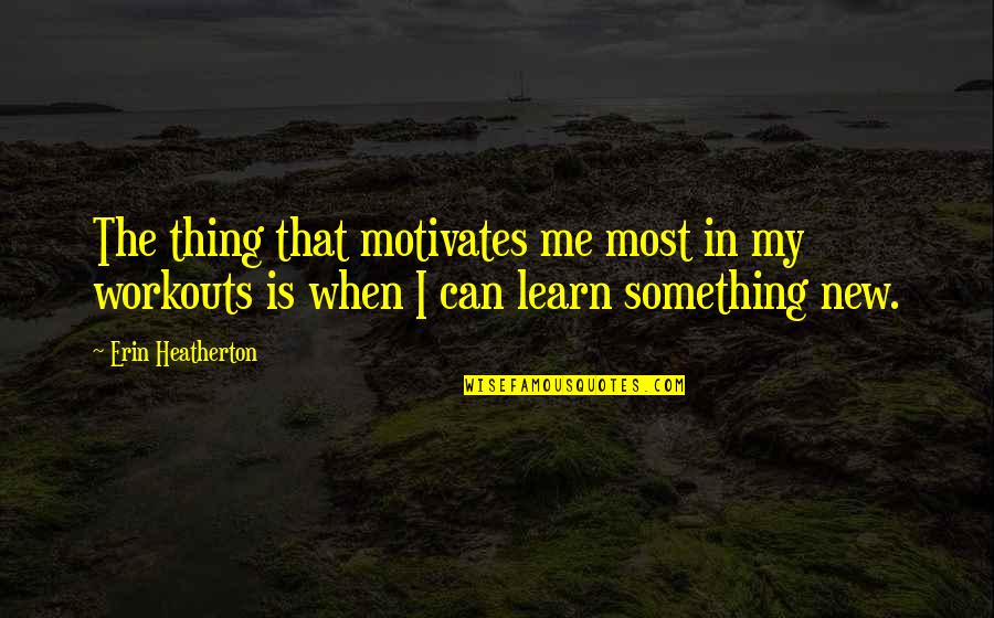 Unfriendliness Synonym Quotes By Erin Heatherton: The thing that motivates me most in my