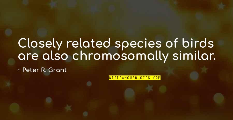 Unggoy Quotes By Peter R. Grant: Closely related species of birds are also chromosomally