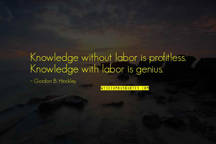 Unidentified Slope Quotes By Gordon B. Hinckley: Knowledge without labor is profitless. Knowledge with labor