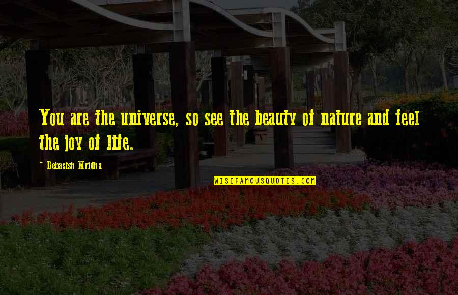 Universe And You Quotes By Debasish Mridha: You are the universe, so see the beauty