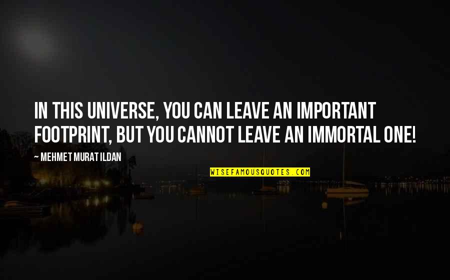 Universe As One Quotes By Mehmet Murat Ildan: In this universe, you can leave an important