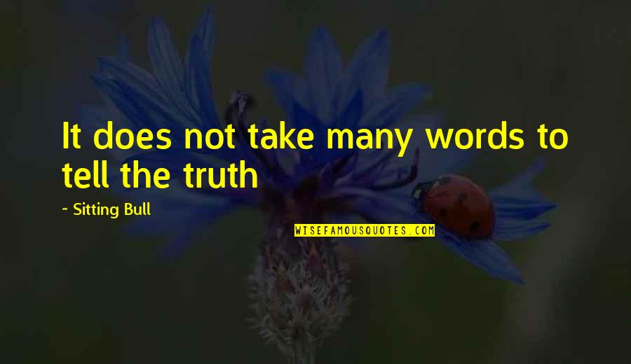 Unlimited Codes Quotes By Sitting Bull: It does not take many words to tell