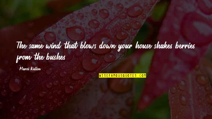 Unmoralisches Quotes By Marci Ridlon: The same wind that blows down your house