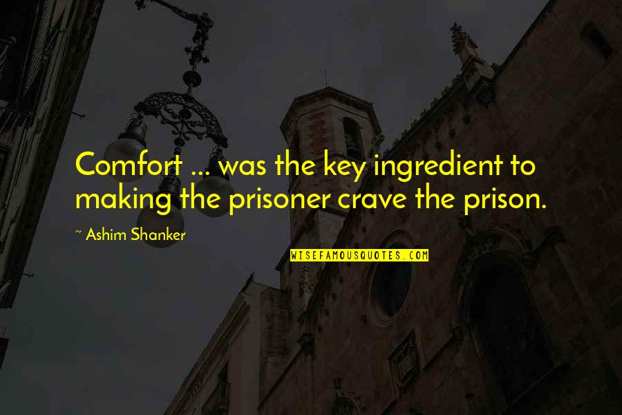 Unrealized Potential Quotes By Ashim Shanker: Comfort ... was the key ingredient to making