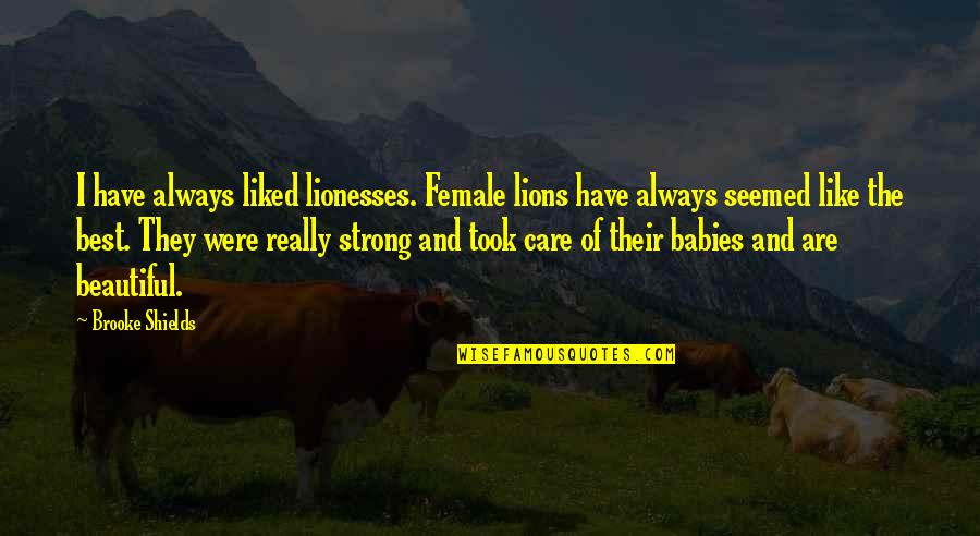 Untenable Sentence Quotes By Brooke Shields: I have always liked lionesses. Female lions have