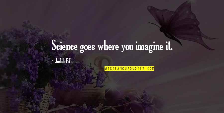 Unwieldy Inheritance Quotes By Judah Folkman: Science goes where you imagine it.