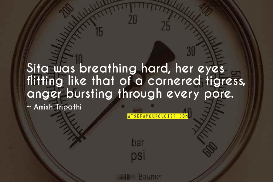 Unzips The Dna Quotes By Amish Tripathi: Sita was breathing hard, her eyes flitting like