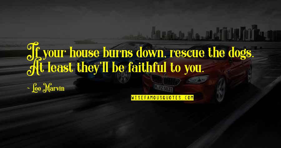 Up And Down Friendship Quotes By Lee Marvin: If your house burns down, rescue the dogs.