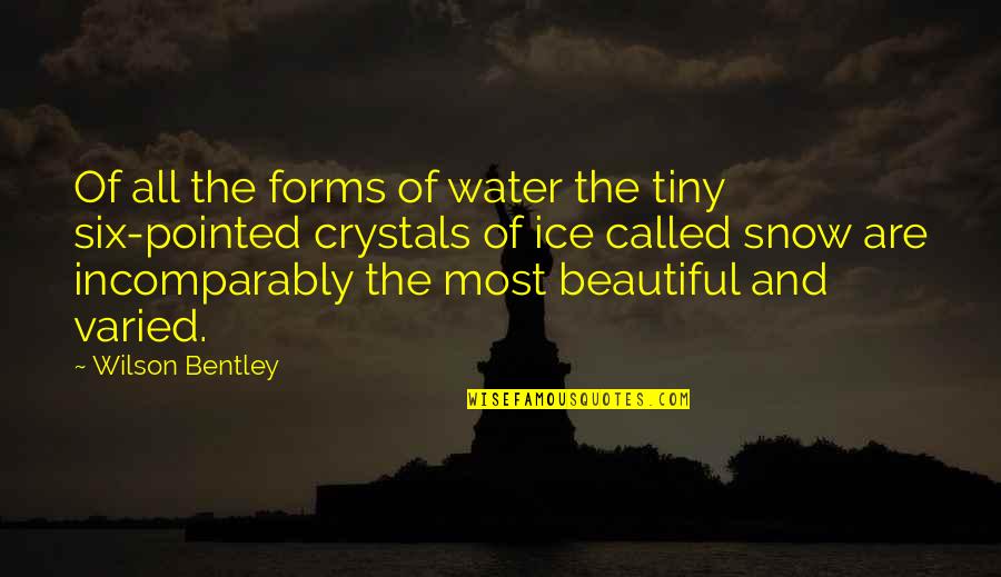 Uragirimono Quotes By Wilson Bentley: Of all the forms of water the tiny