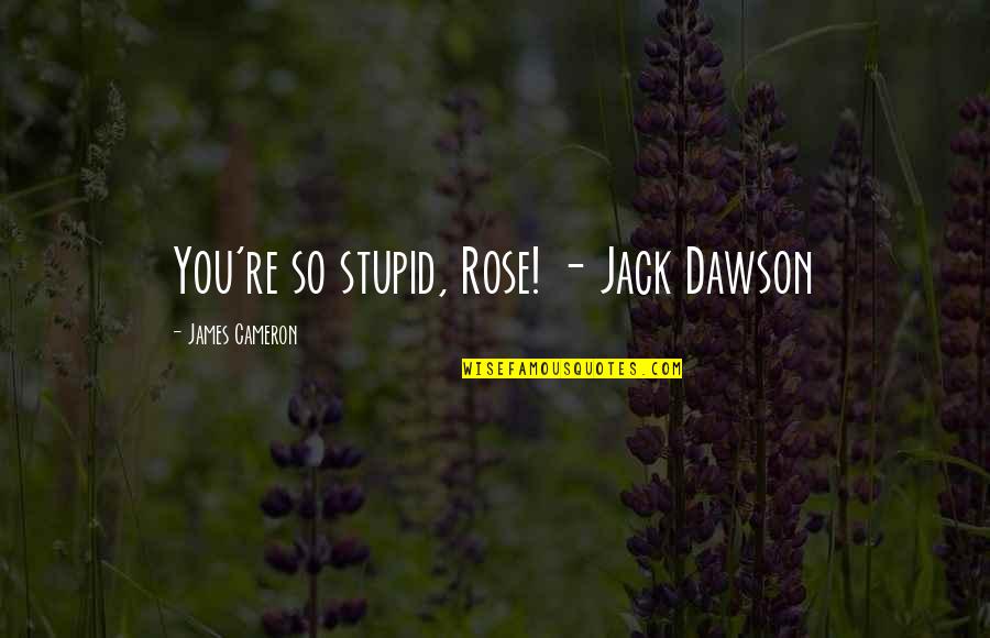 Urashima One Piece Quotes By James Cameron: You're so stupid, Rose! - Jack Dawson