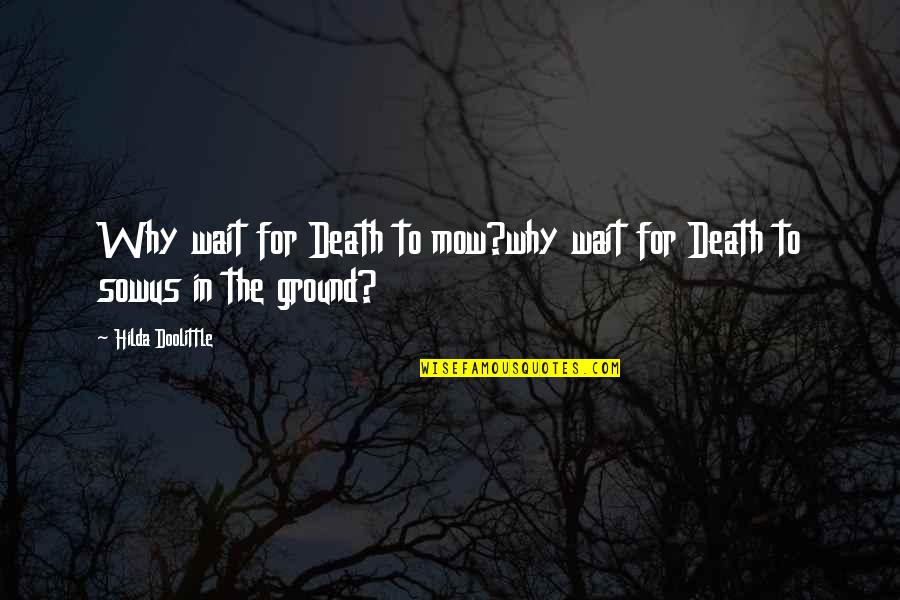 Us War Quotes By Hilda Doolittle: Why wait for Death to mow?why wait for