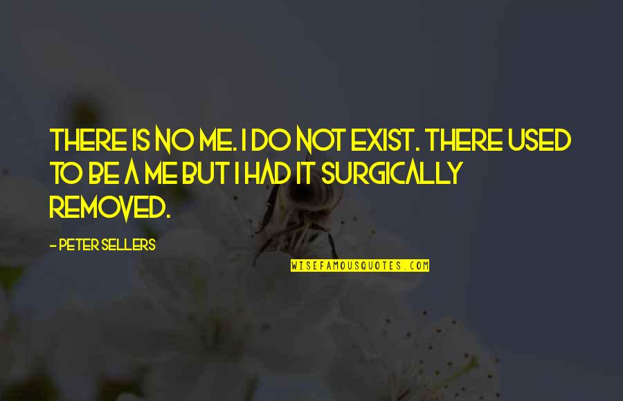 Used To It Quotes By Peter Sellers: There is no me. I do not exist.