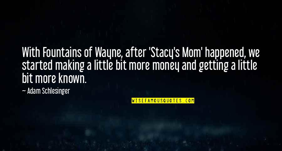 Useless Website Quotes By Adam Schlesinger: With Fountains of Wayne, after 'Stacy's Mom' happened,