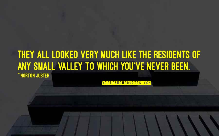 Valley Quotes By Norton Juster: They all looked very much like the residents