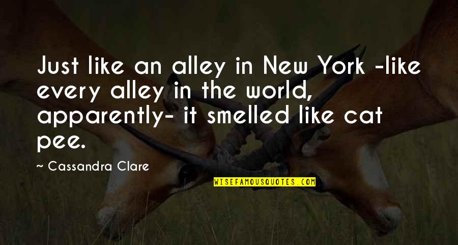 Value Driven Transcendence Quotes By Cassandra Clare: Just like an alley in New York -like