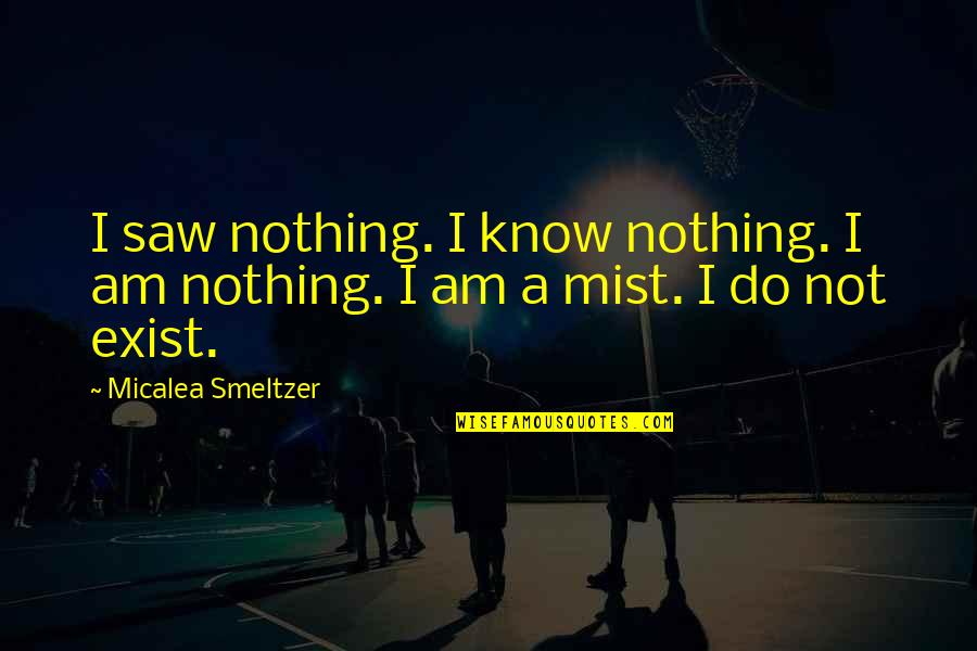 Value Your Family And Friends Quotes By Micalea Smeltzer: I saw nothing. I know nothing. I am