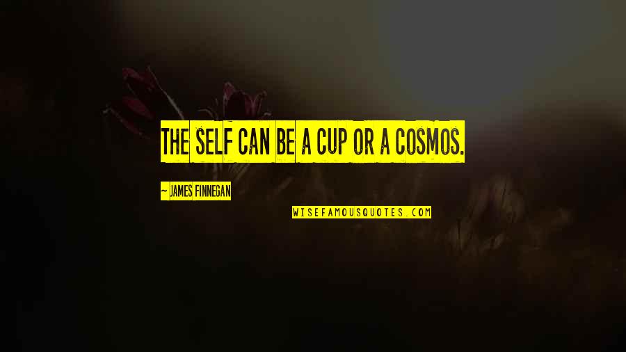 Van Gelderen Stoffen Quotes By James Finnegan: The self can be a cup or a