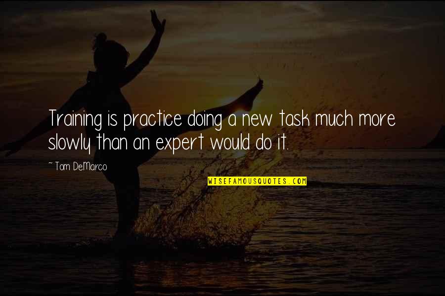Vashti Murphy Mckenzie Quotes By Tom DeMarco: Training is practice doing a new task much