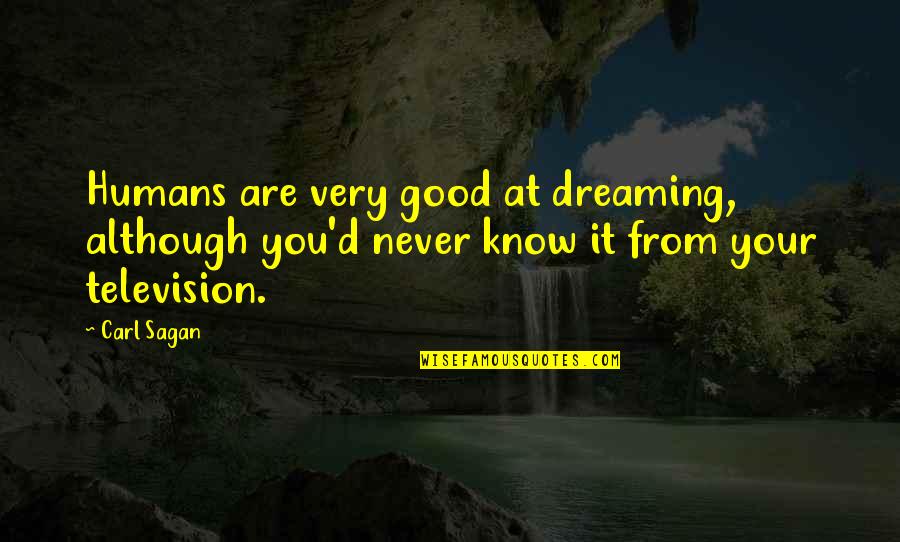 Vastness Quotes By Carl Sagan: Humans are very good at dreaming, although you'd