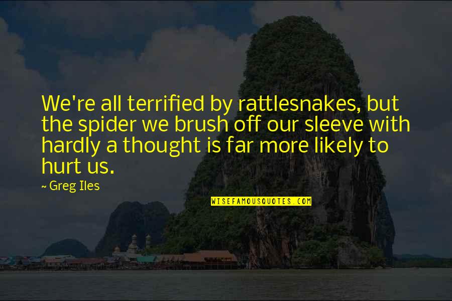 Vengadores Quotes By Greg Iles: We're all terrified by rattlesnakes, but the spider