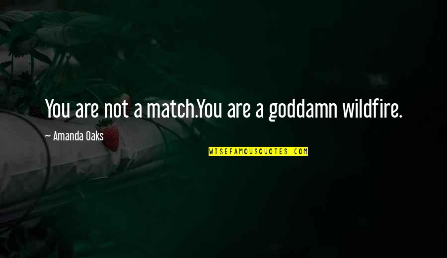 Ventajoso En Quotes By Amanda Oaks: You are not a match.You are a goddamn